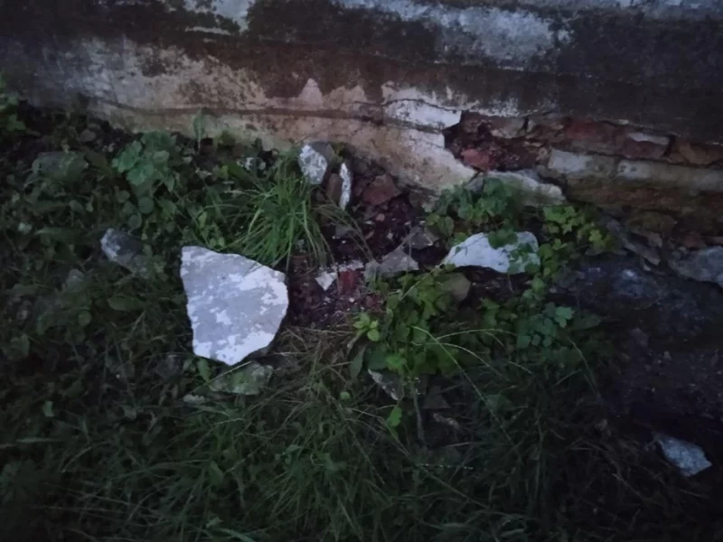 “Крепкая хозяйственная рука дотянулась до дела”. Как сейчас выглядит усадьба Подороск, которую забрали у владельца и передали отделу культуры?