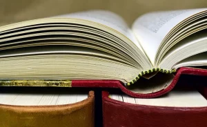 Кнігі. Фота ілюстрацыйнае: pixabay.com