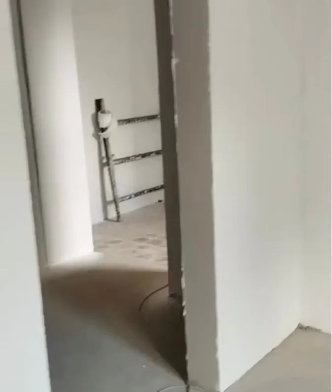 Гродзенскім коцікам знайшлі новы домік. Але арэнда там даражэйшая - валанцёры просяць дапамогі