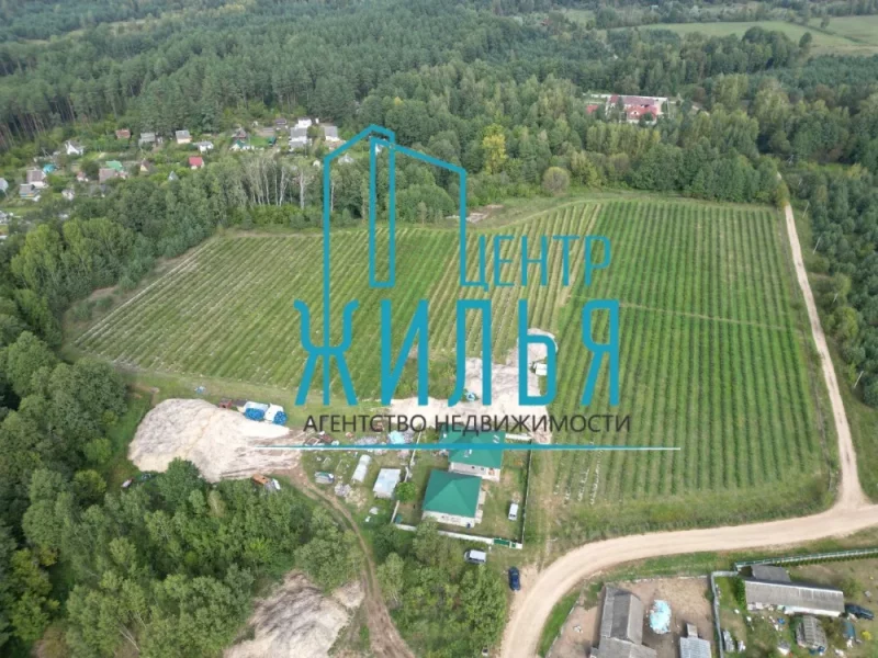 Бізнес па вырошчванні дурніц. Фота: "Цэнтр жылля"