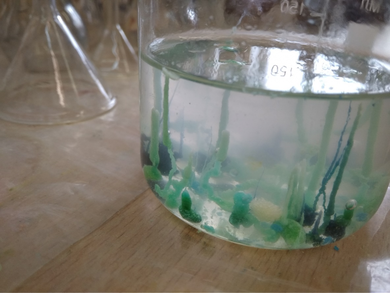 Прыгожая хімія і лагічны падыход. Як беларуска ў Беластоку занялася рэпетытарствам