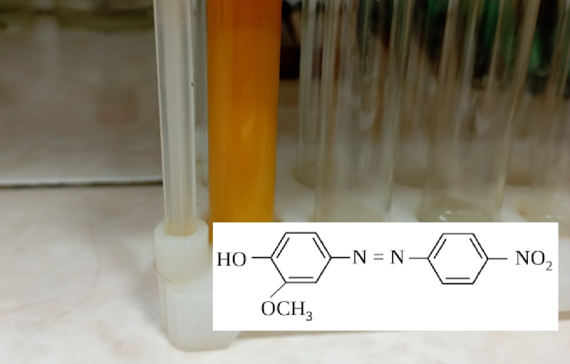 Прыгожая хімія і лагічны падыход. Як беларуска ў Беластоку занялася рэпетытарствам