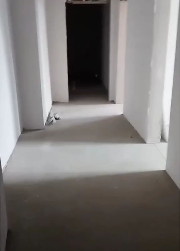 Гродзенскім коцікам знайшлі новы домік. Але арэнда там даражэйшая - валанцёры просяць дапамогі