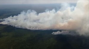 Дым, які ідзе ад пажару ў лясгасе. Крыніца: Скрыншот БелТА відэа прэс-службы Мінлясгаса