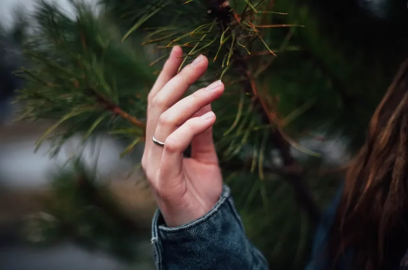 у гродзенскай вобласці будуць садзіць лес