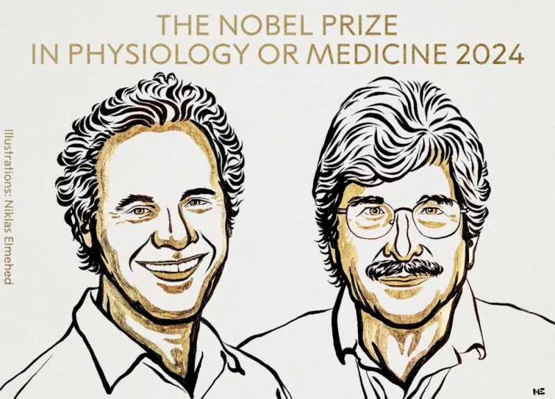 Лаўрэат Нобеля па медыцыне мае карані з Гродзеншчыны? Так, але не з таго раёну, які спачатку назвалі Віктар Амбрас і Гэры Раўкан. Ілюстрацыя Нікласа Элмехеда для Нобелеўскага камітэта