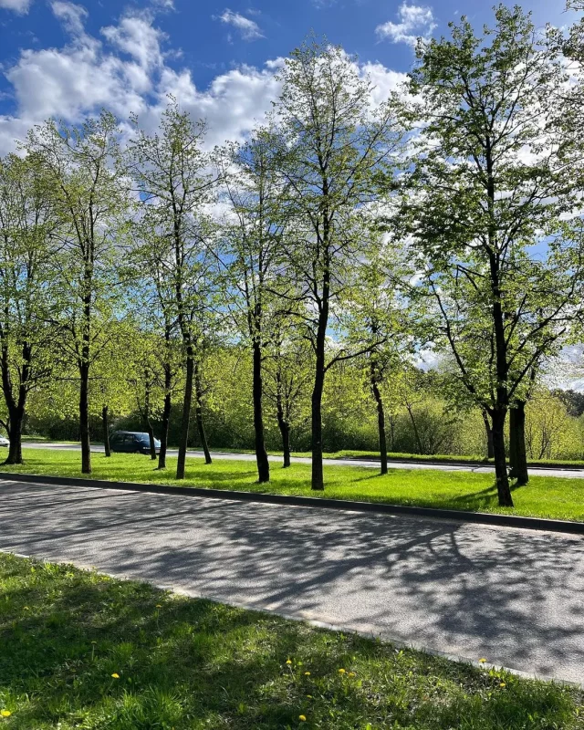 "Штосьці з фільмаў жахаў". Топ-3 месцаў у Гродне, якія гараджане абыходзяць за вярсту