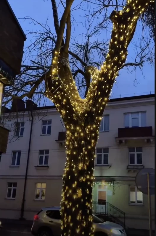 Брэнд Krikate адкрывае ў Гродне новую модную прастору. Даведаліся, дзе яна з'явіцца