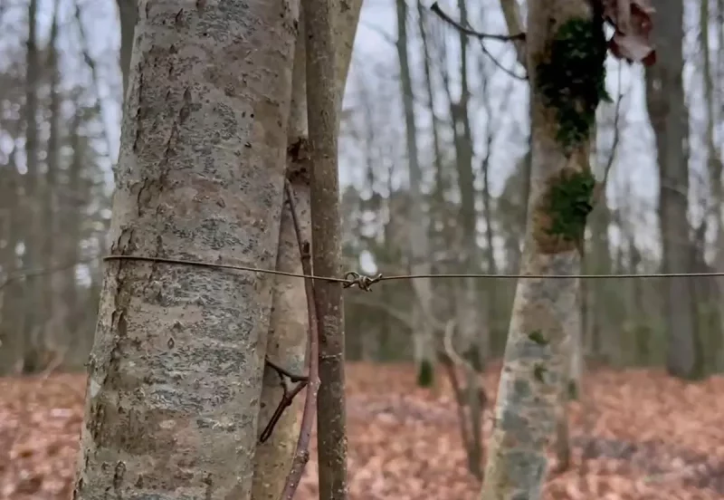 Дрот для байкераў. Скрыншот з відэа міліцыі
