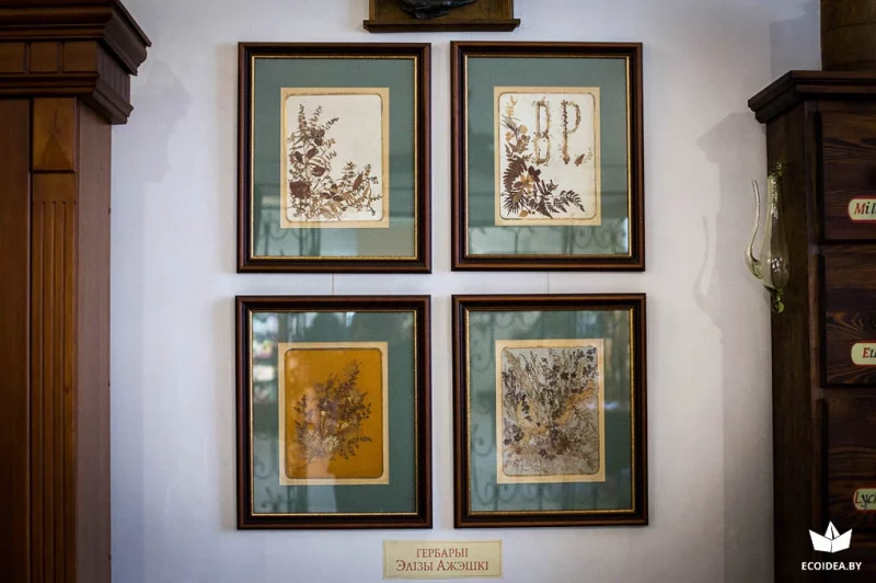 Дзень музейнага сэлфі: дзе ў Гродне зрабіць самыя цікавыя фота