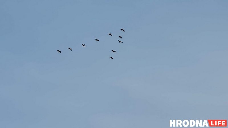 Клин гусей в небе. Увидев его первый раз, нужно было взять горсть земли из-под правой ноги. В такой момент она приобретала магические свойства