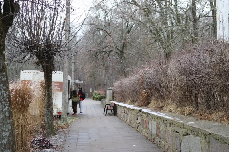On the streets of Białowieża. Photo: Hrodna. life / MOST