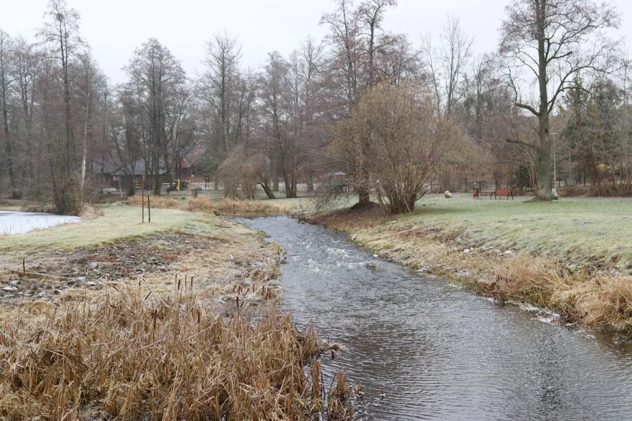 В поселке Беловежа недалеко от польско-белорусской границы. Фото: Hrodna.life / MOST