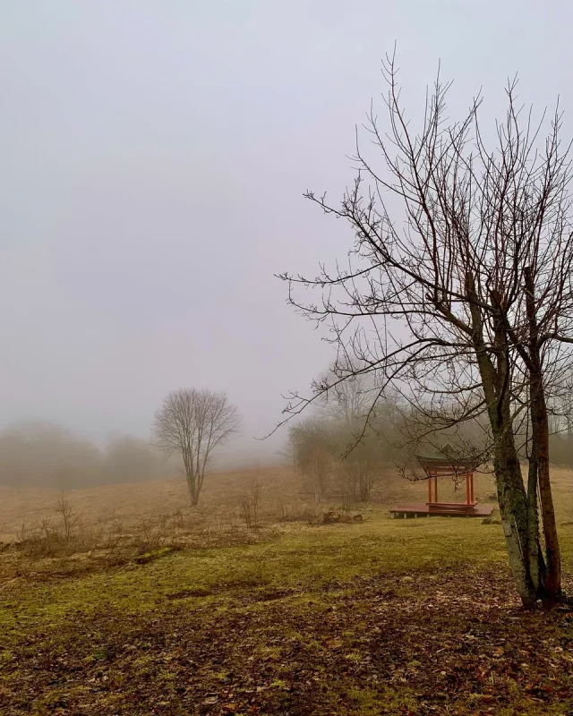 Фота: instagram.com/south_park.camp