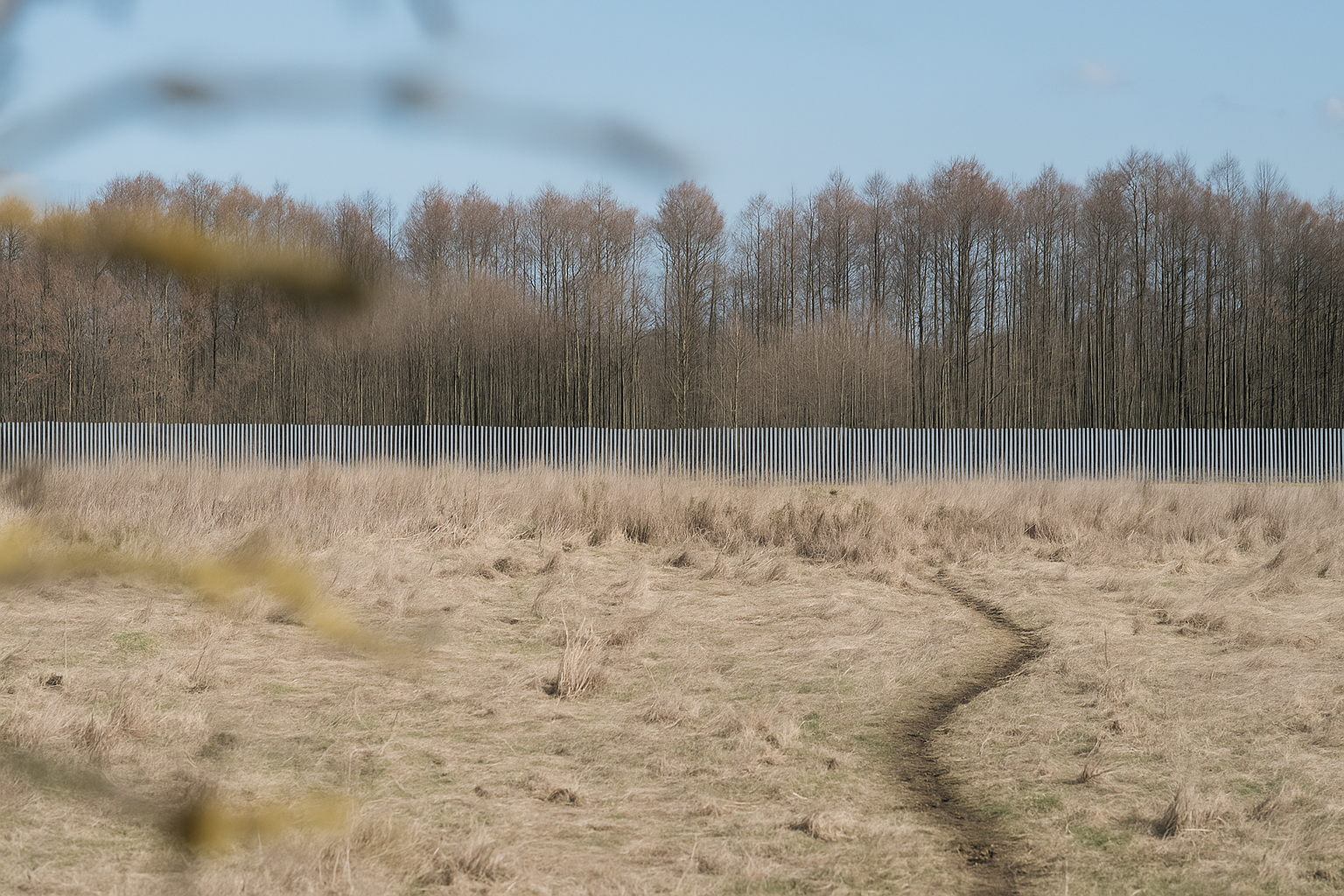 Беларуска-польская мяжа са сцяной і калючым дротам