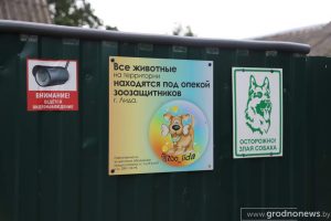 «Жывуць усюды: у доме, хляве, гаражы». У Лідскім раёне суседзі-пенсіянеры і зоаабаронца спрачаюцца з-за 13 сабак і нескошанай травы