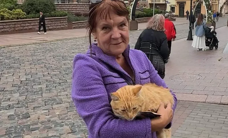 "Выбіў зубы з левага боку". Журналісты знайшлі гаспадыню папулярнага ў сацсетках ката з Гродна "Выбіў зубы з левага боку". Журналісты знайшлі гаспадыню папулярнага ў сацсетках ката з Гродна