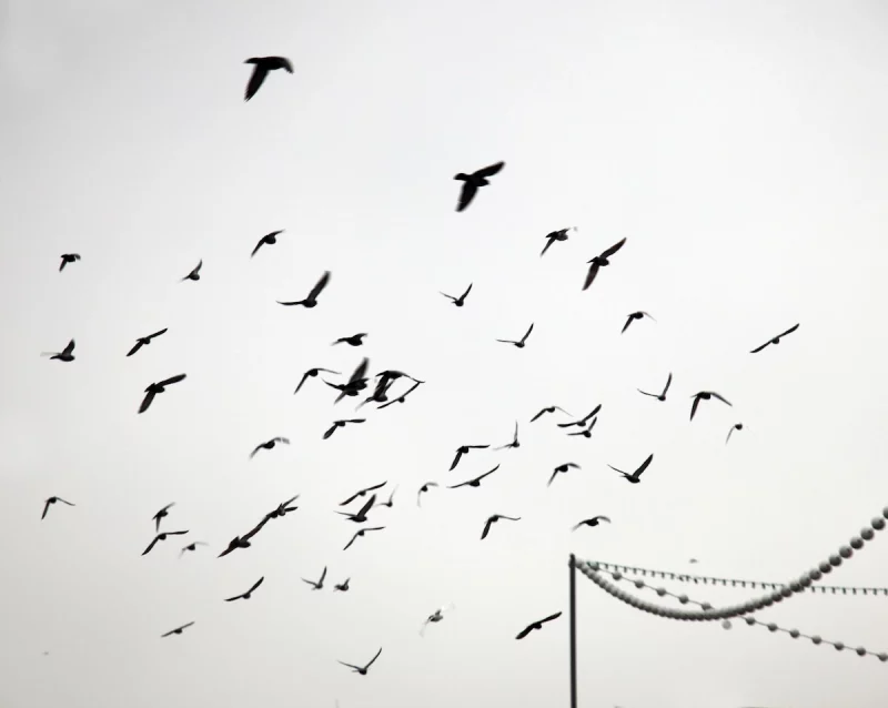 Наталія Дораш: «Пані фатографка – толькі так сябе і адчуваю»