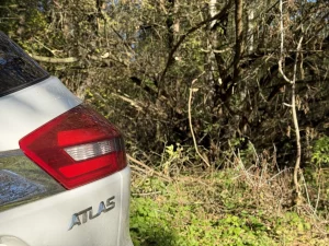 Дрэвы дарога Скідзель