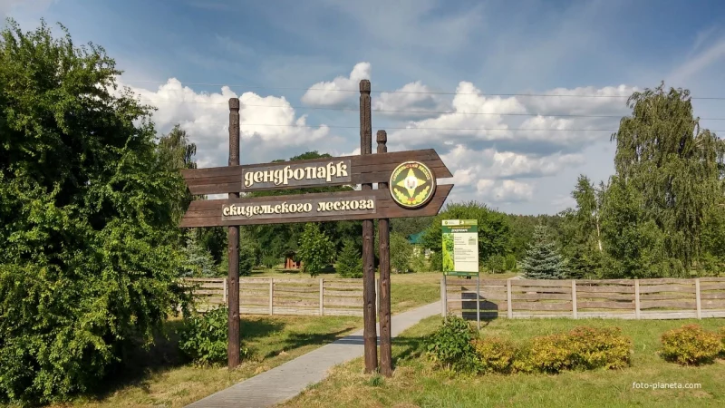 У Скідзельскім дэндрапарку з'явіцца музей лясной гісторыі