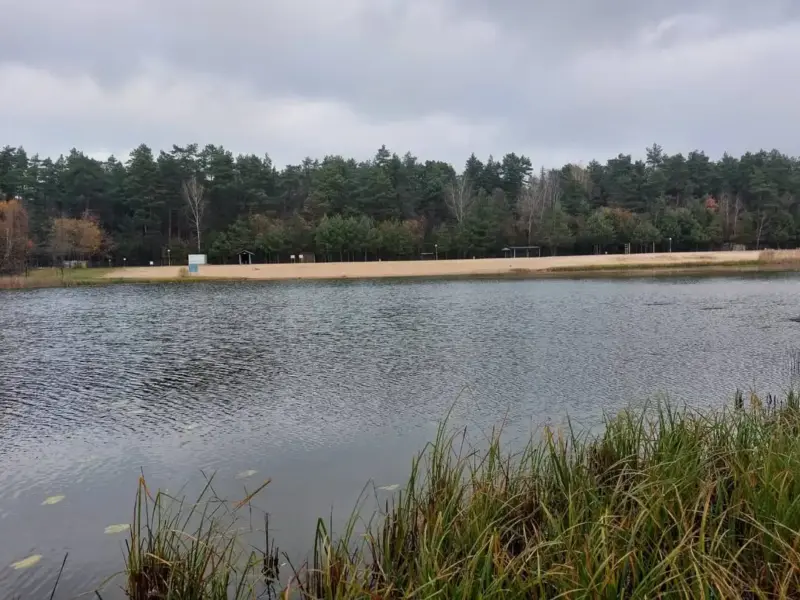 Пад Ваўкавыскам масава гіне рыба – прычыну ўжо выявілі