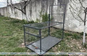 «Праблеме не першы год». У Гродзенскім раёне спрабуюць справіцца з бяздомнымі сабакамі пры дапамозе пастак і скардзяцца на людзей ловушки для собак