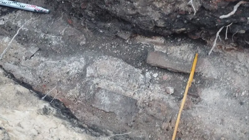 археологи Новый замок