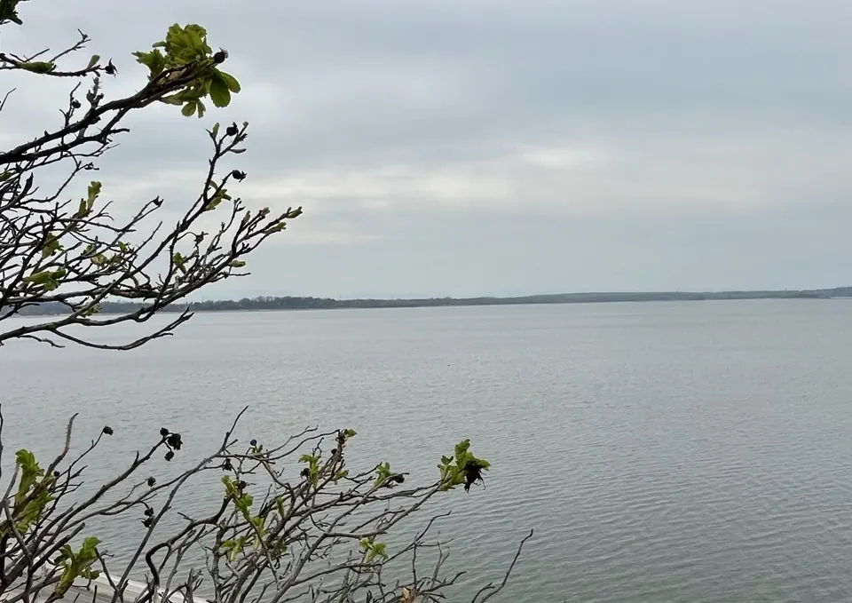 Мяткаўскі заліў пад Уроцлавам. Фота: Hrodna.life