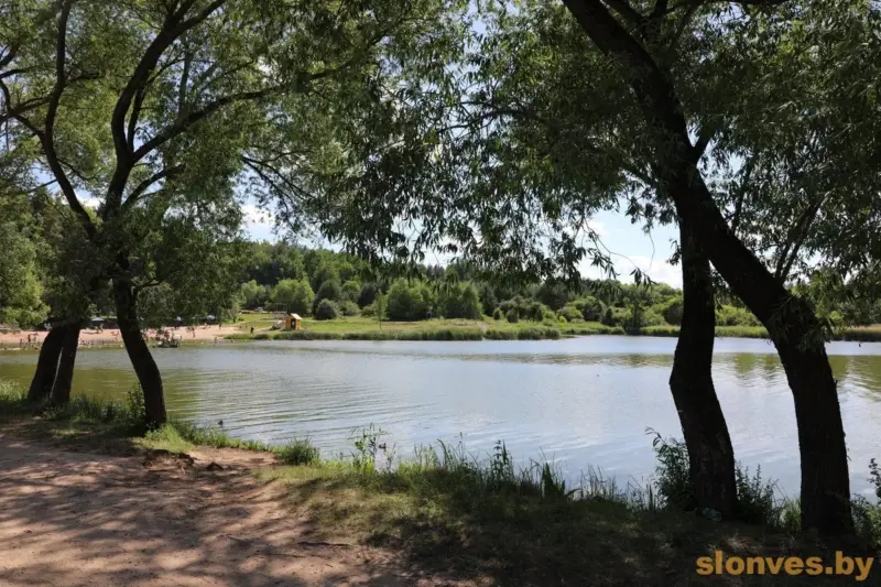 У разгар лета ў Слоніме закрываюць возера — і заадно высякаюць дрэвы