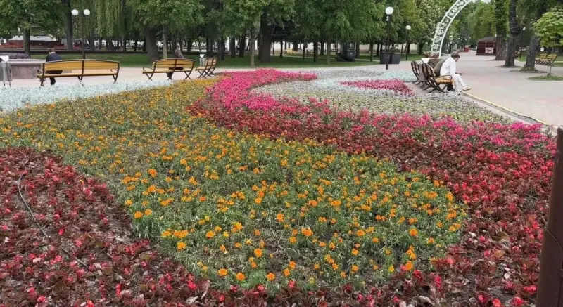 Клумба, створаная "Гродназелянбудам" у парку Жылібера напярэдадні Фестывалю нацыянальных культур. Фота: grodnozelenstroj.by