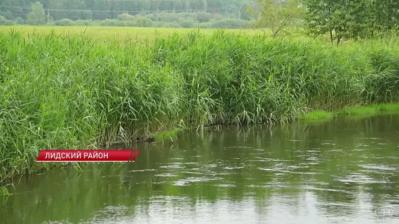 Забруджаная рака Дзітва. Фота: СТВ